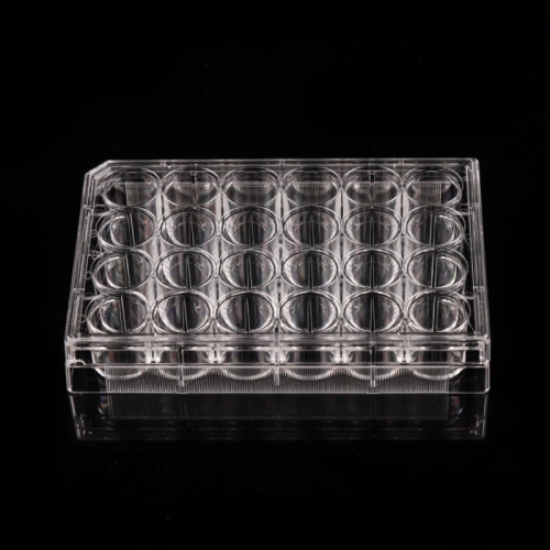 Nontreated 24 well Cell Culture Plates China Manufacturers Suppliers